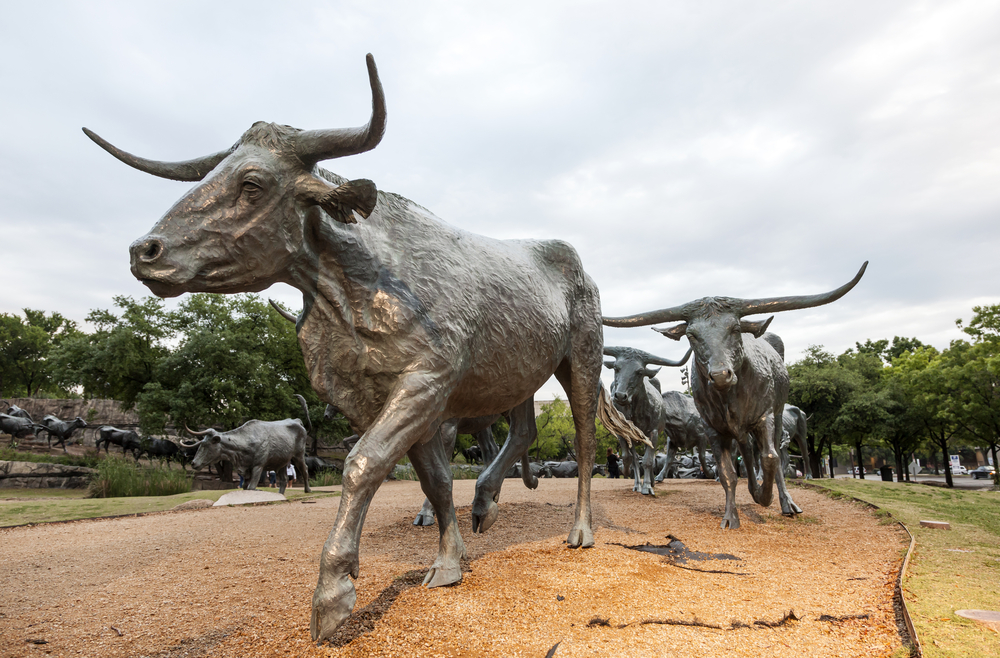 Dallas,,Usa,-,Apr,9,,2016:,Cattle,Drive,Sculpture,In